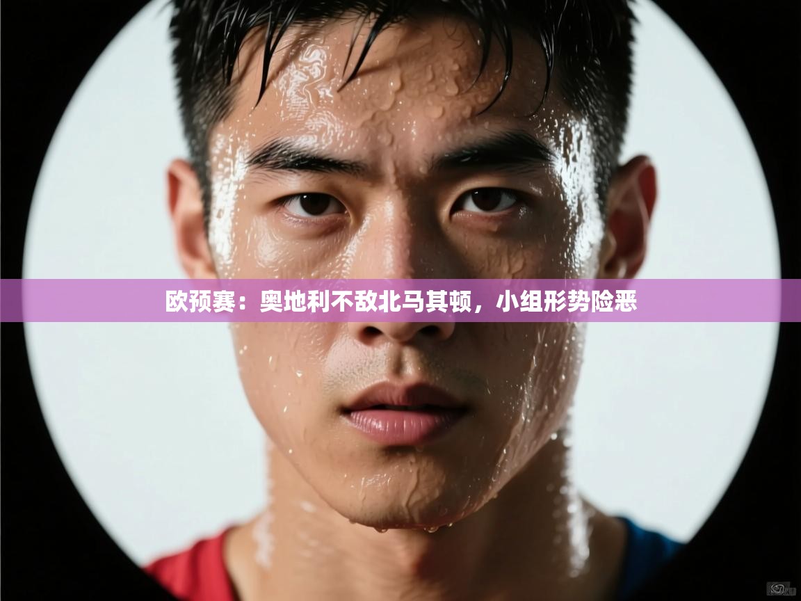 欧预赛:奥地利不敌北马其顿,小组形势险恶 第2张