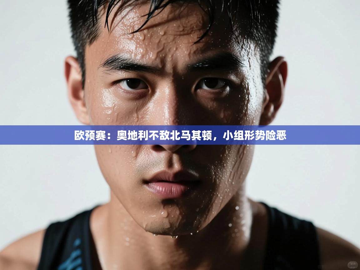 欧预赛:奥地利不敌北马其顿,小组形势险恶 第1张