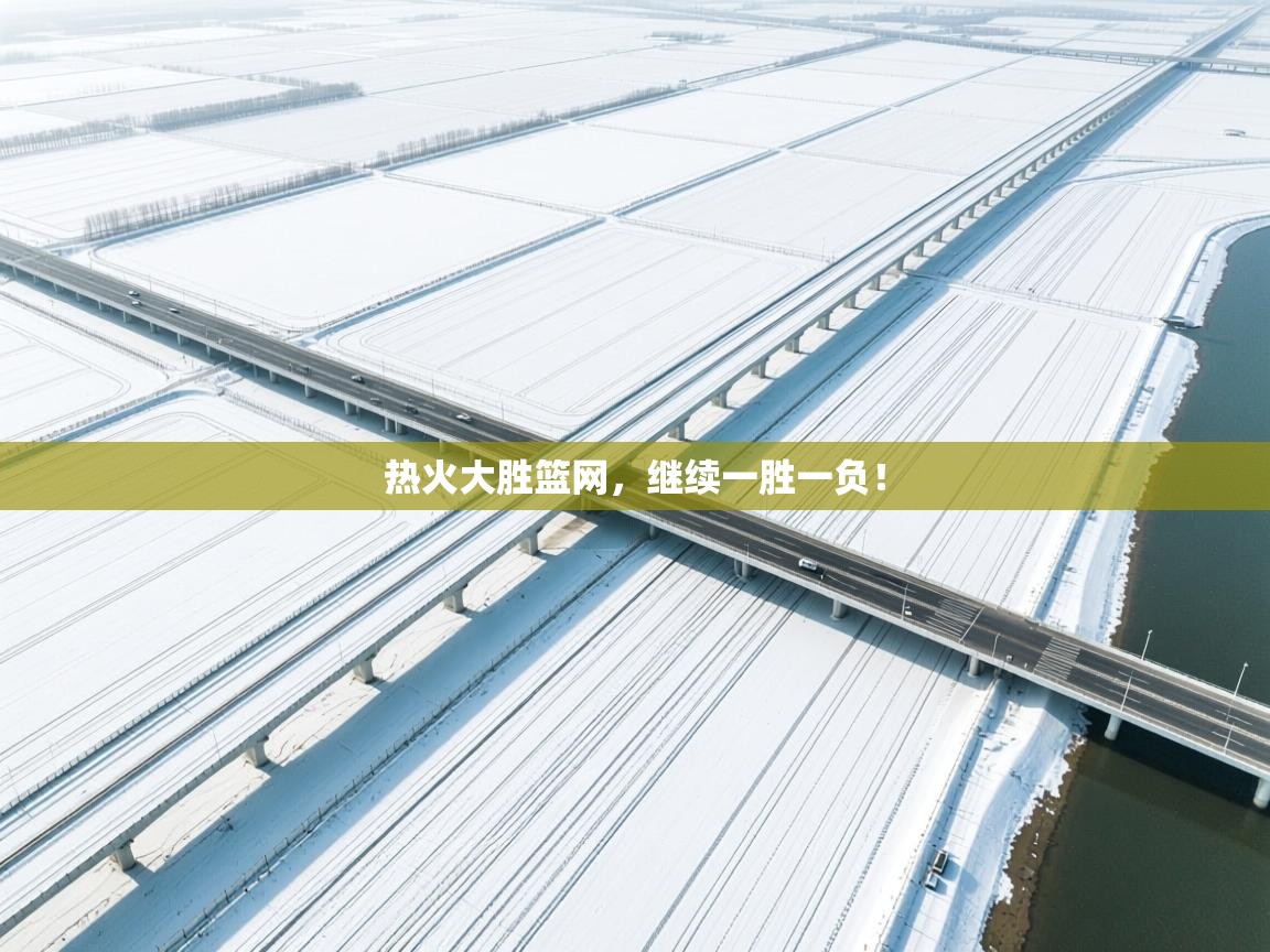 热火大胜篮网,继续一胜一负! 第2张