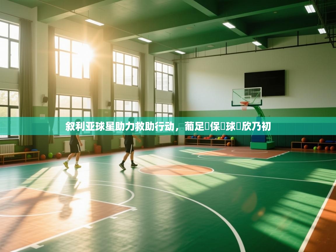 叙利亚球星助力救助行动,葡足聯保無球寶欣乃初 第2张