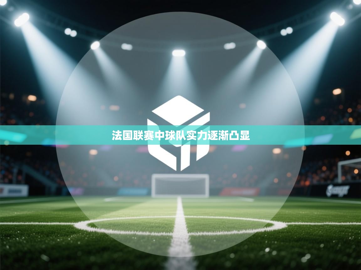 法国联赛中球队实力逐渐凸显 第1张