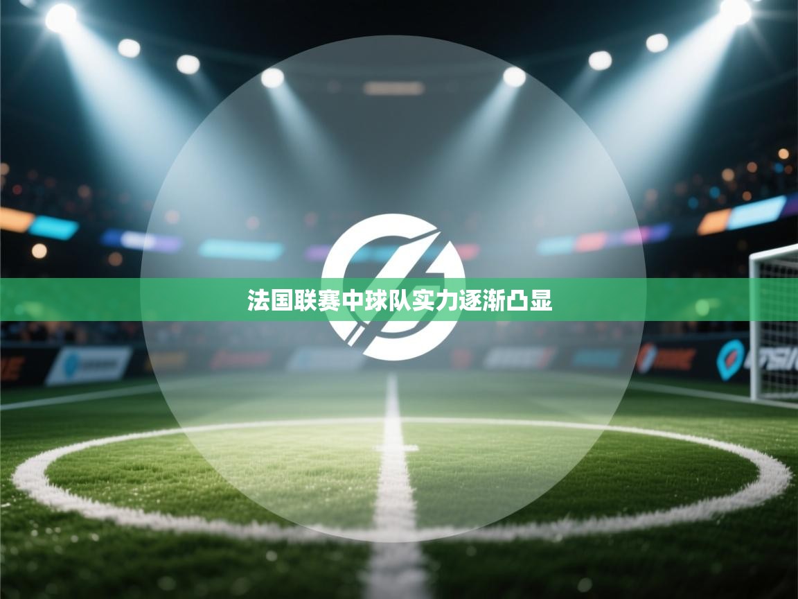 法国联赛中球队实力逐渐凸显 第2张