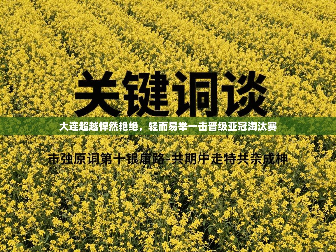 大连超越悍然艳绝,轻而易举一击晋级亚冠淘汰赛 第2张